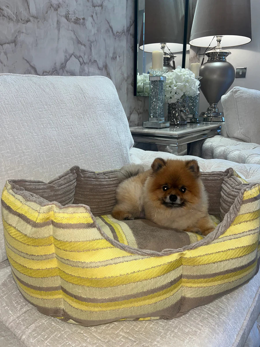 Beige And Yellow Striped Dog Bed