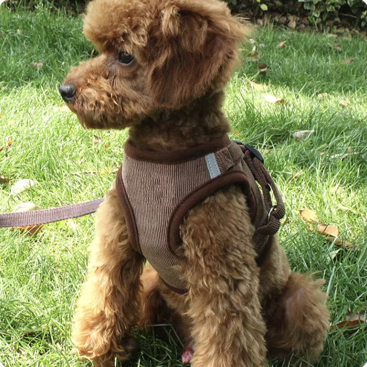Reflective Pet Dog Vest Harness And Lead Set