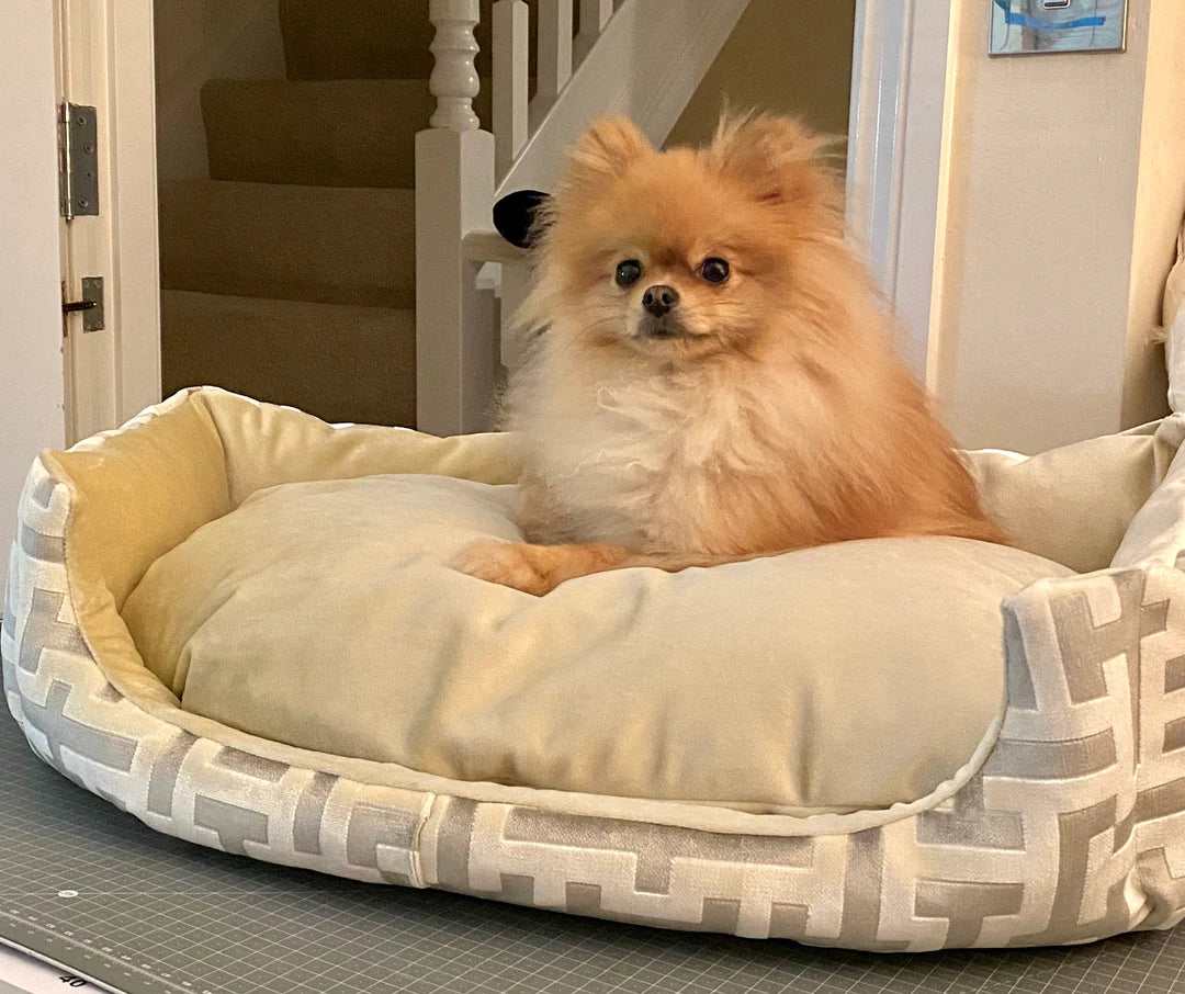 Aztech Cream & Gold Dog Bed