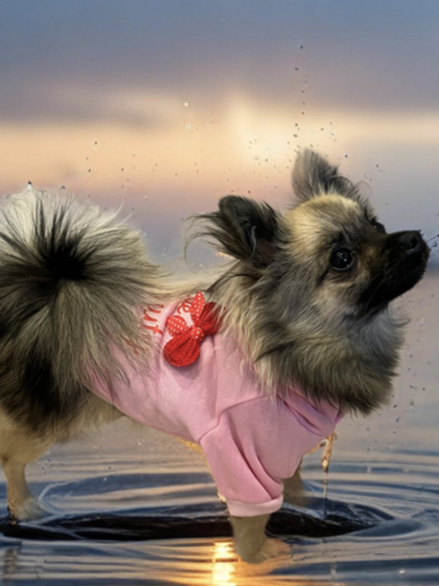 Hooded Dog Sweatshirt