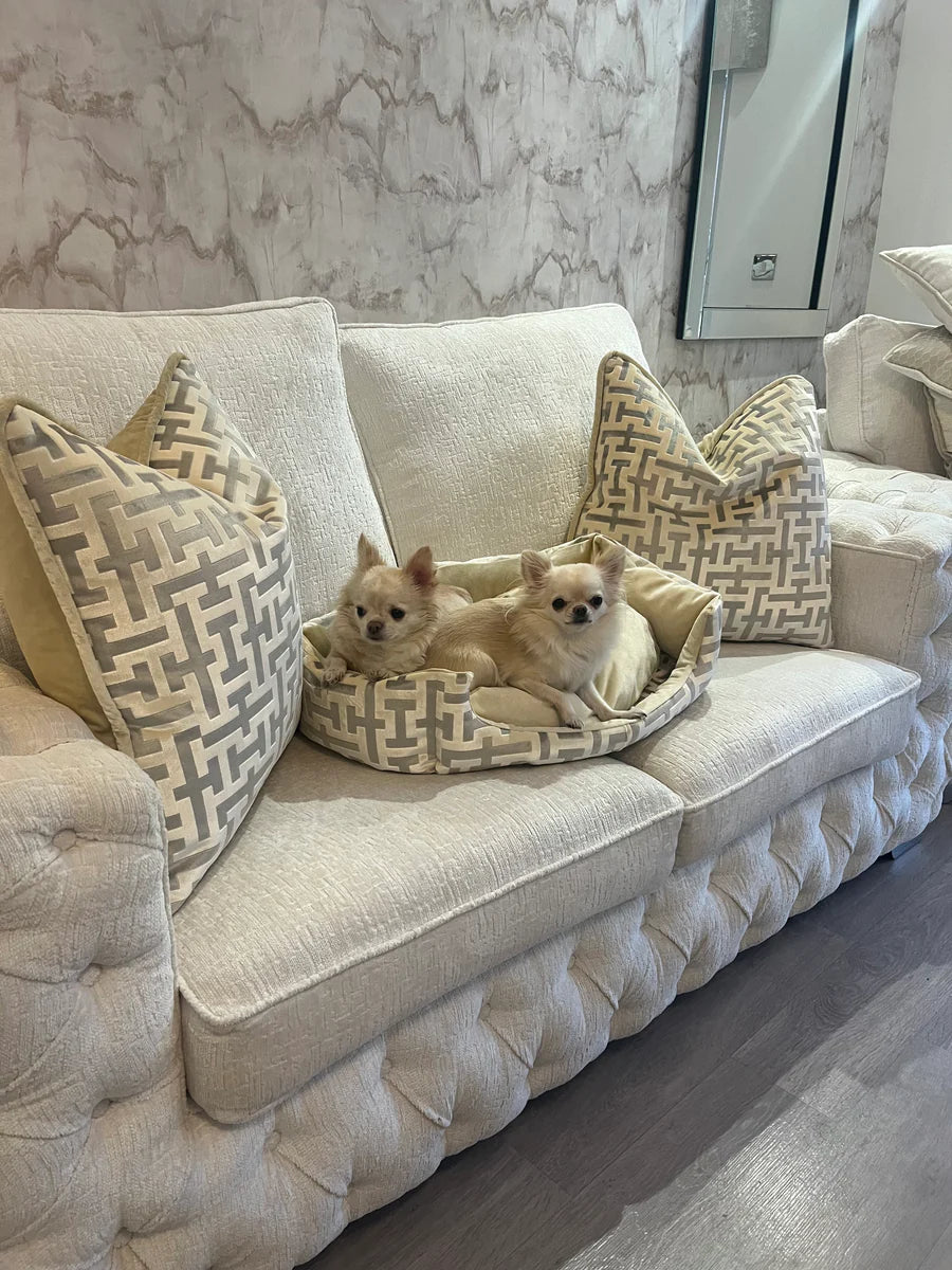 Aztech Cream & Gold Dog Bed