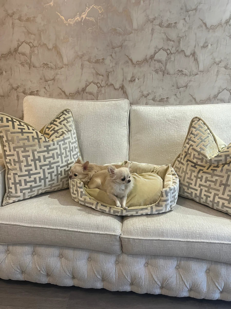 Aztech Cream & Gold Dog Bed