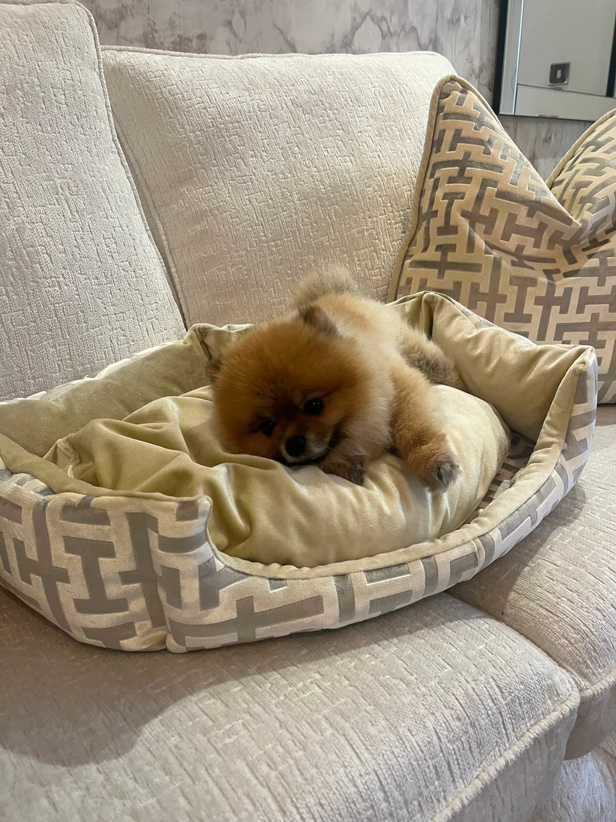 Aztech Cream & Gold Dog Bed