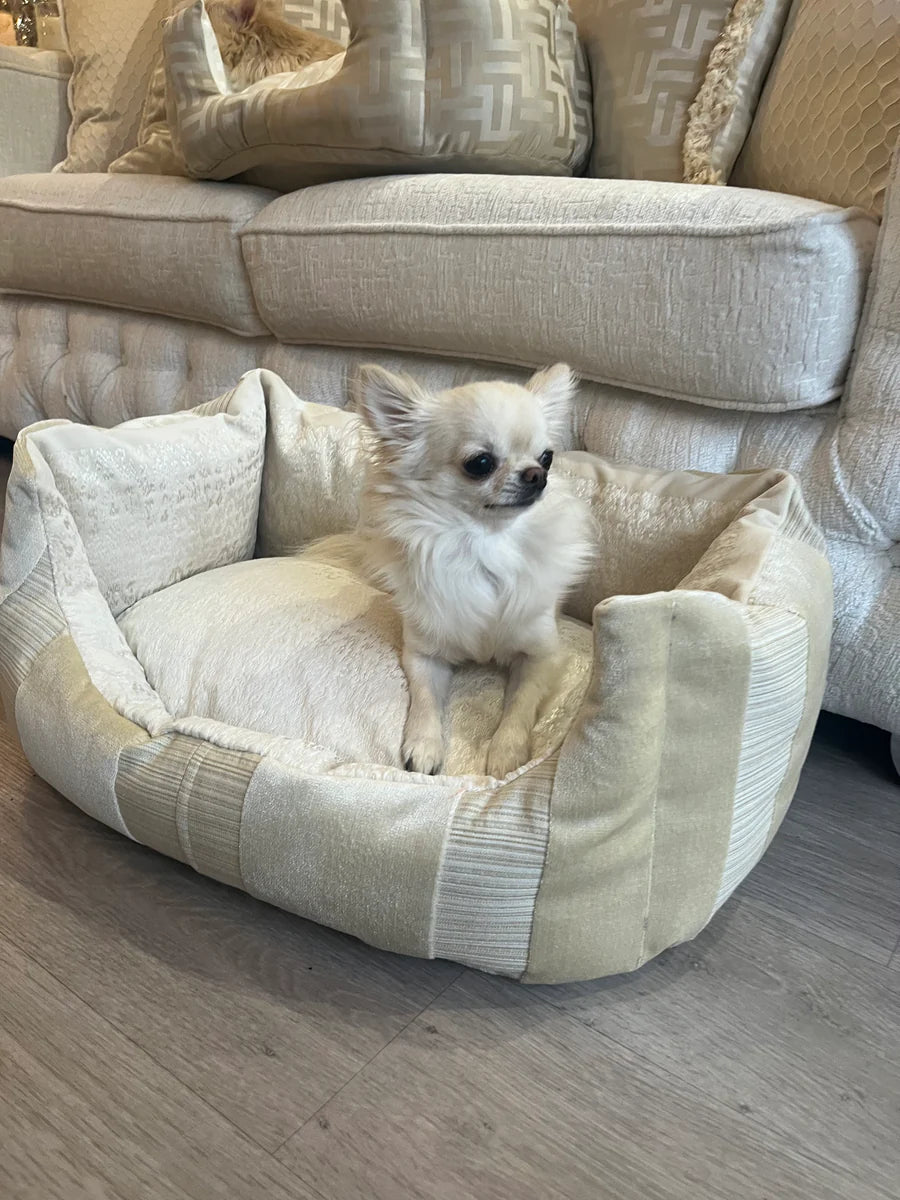 Cream And Gold Striped Dog Bed