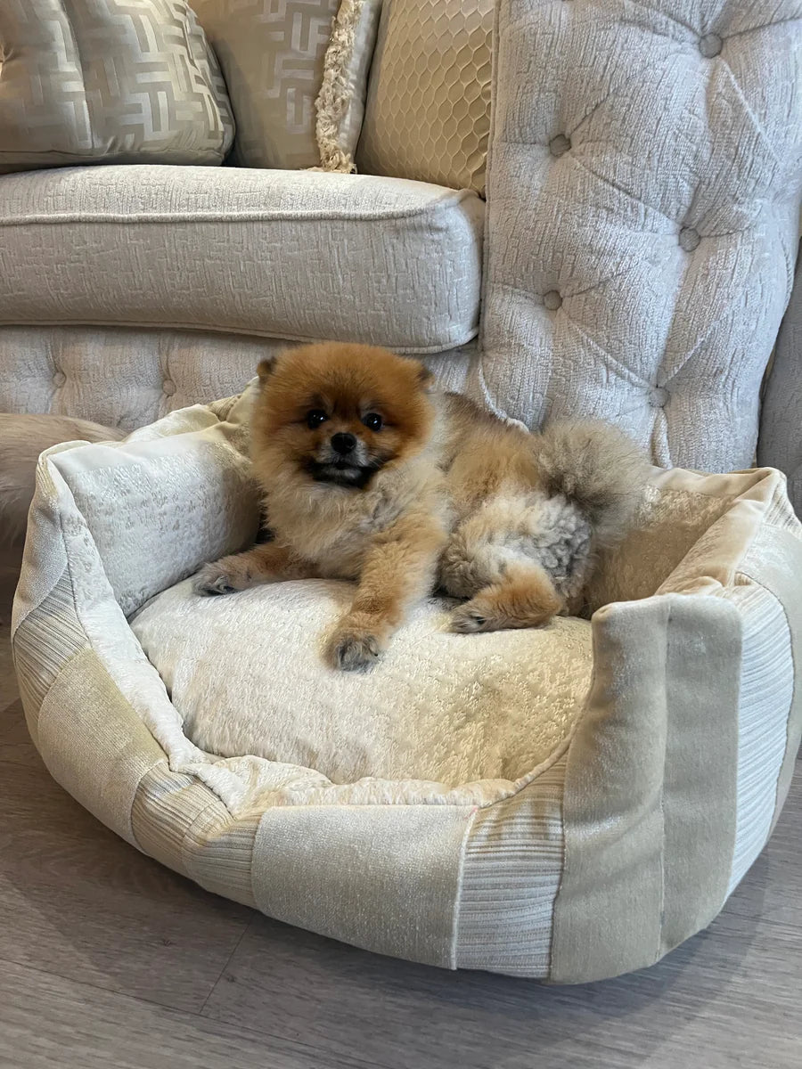 Cream And Gold Striped Dog Bed