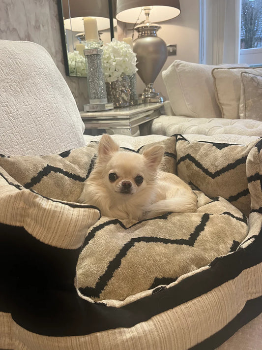 Cream And Black Striped Zig Zag Dog Bed