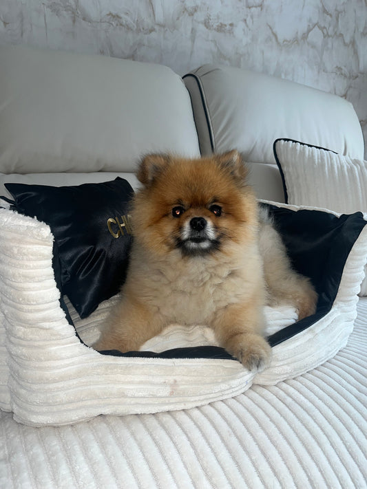 Cream and Black Dog Bed (Personalised)